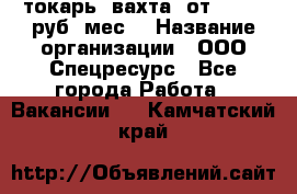 токарь. вахта. от 50 000 руб./мес. › Название организации ­ ООО Спецресурс - Все города Работа » Вакансии   . Камчатский край